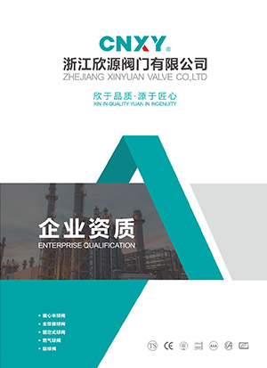Enterprise qualification brochure